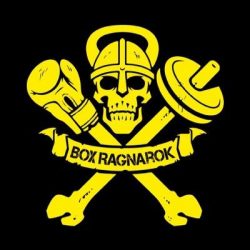 logo box ragnarok